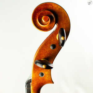 Viola Antoni Marsale Oficina 2022 Tertis 40,7cm n126