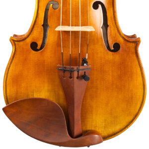 Violino Adriano Alberge 2024 Andrea Amati n421