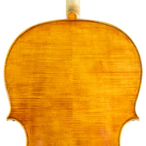 Violoncelo Vinicius Fachinetti 2023 Maggini n335