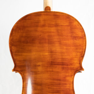 Violoncelo Marsale Brasiliano 2023 Danilo Barbalho n244