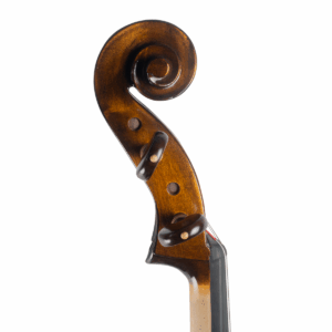 Violoncelo Marsale Brasiliano 2025 Grau C n609