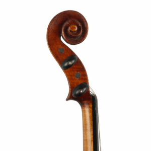 Viola Alberto Vicente 2025 41,7 cm n625