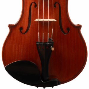 Violino Marcelo Paz 2025 n622