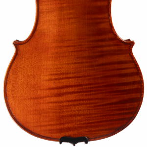 Violino Marcelo Paz 2025 n622