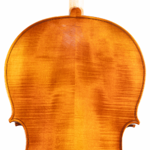 Violoncelo Antoni Marsale Oficina 2024 n467