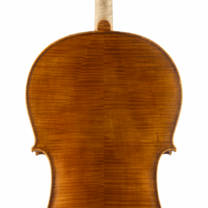 Violoncelo Vinicius Fachinetti 2025 n624