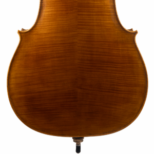 Violoncelo Vinicius Fachinetti 2025 n624
