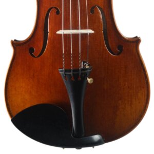 Violino Alfio Bottechia 2025 n626