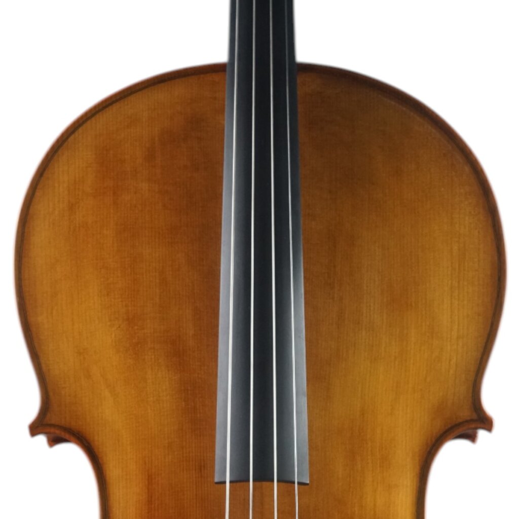 Violoncelo Alison Romano 2025 n631