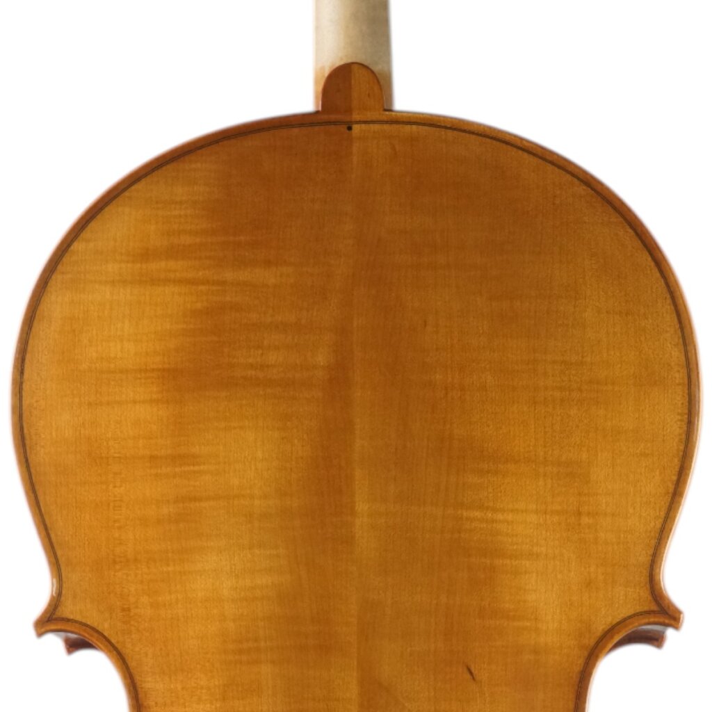 Violoncelo Alison Romano 2025 n631