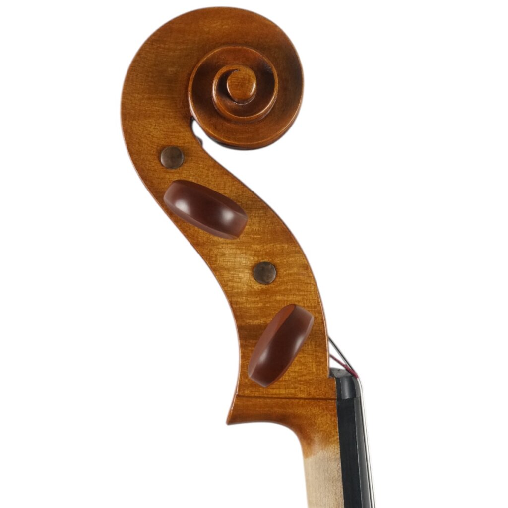 Violoncelo Alison Romano 2025 n631