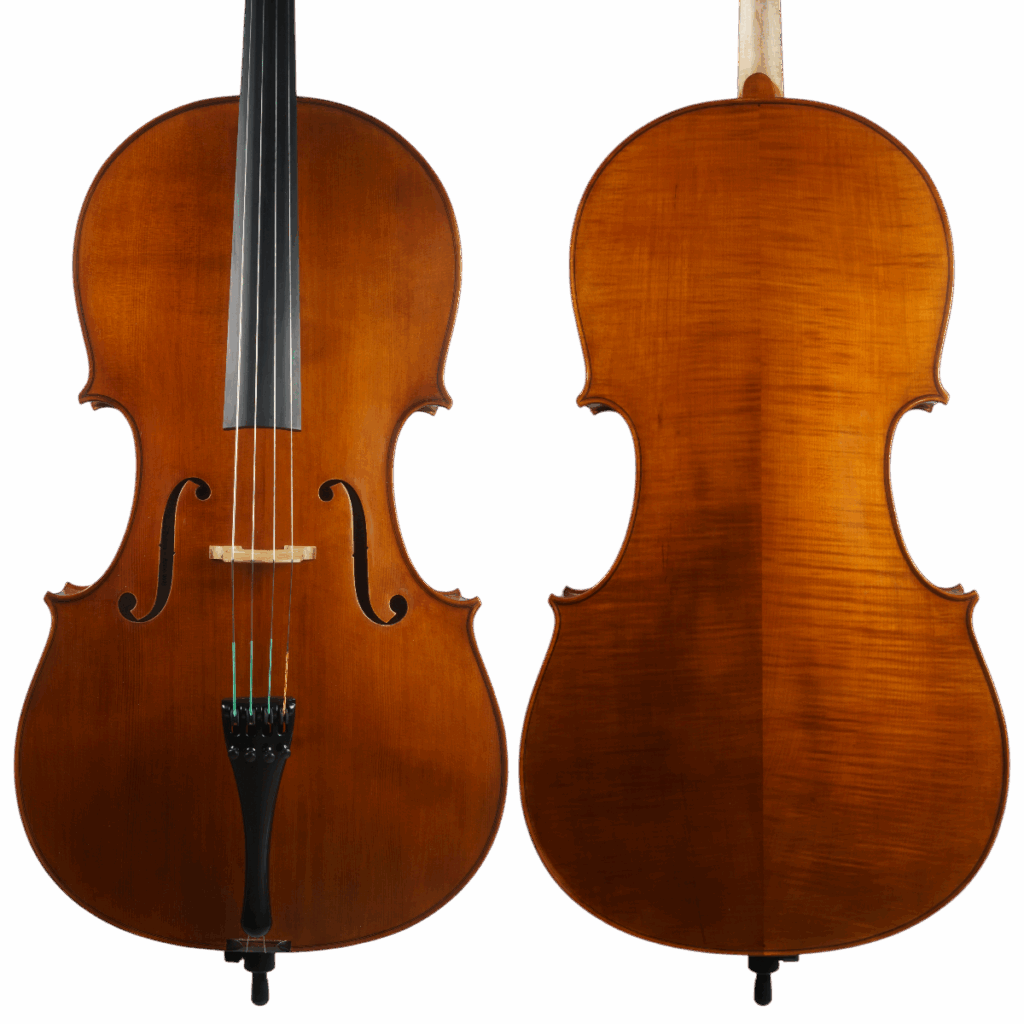 Violoncelo Atelier Fachinetti 2025 n635