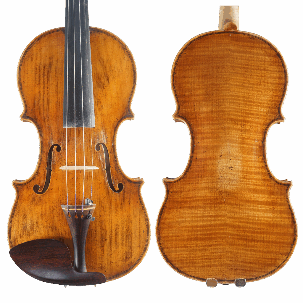 Violino Vinicius Fachinetti 2022 Amati n660