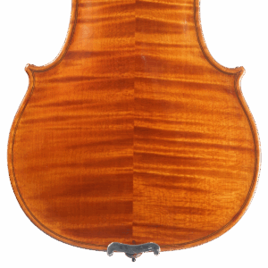 Violino Diego Castro 2025 n665