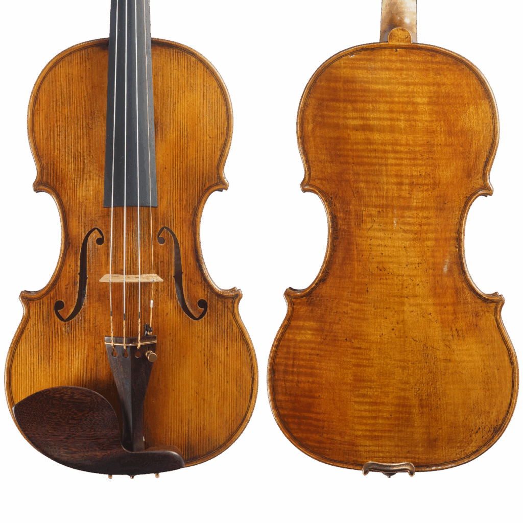 Violino Luthier Marcos Pandolfi 2025 Lord Wilton n694