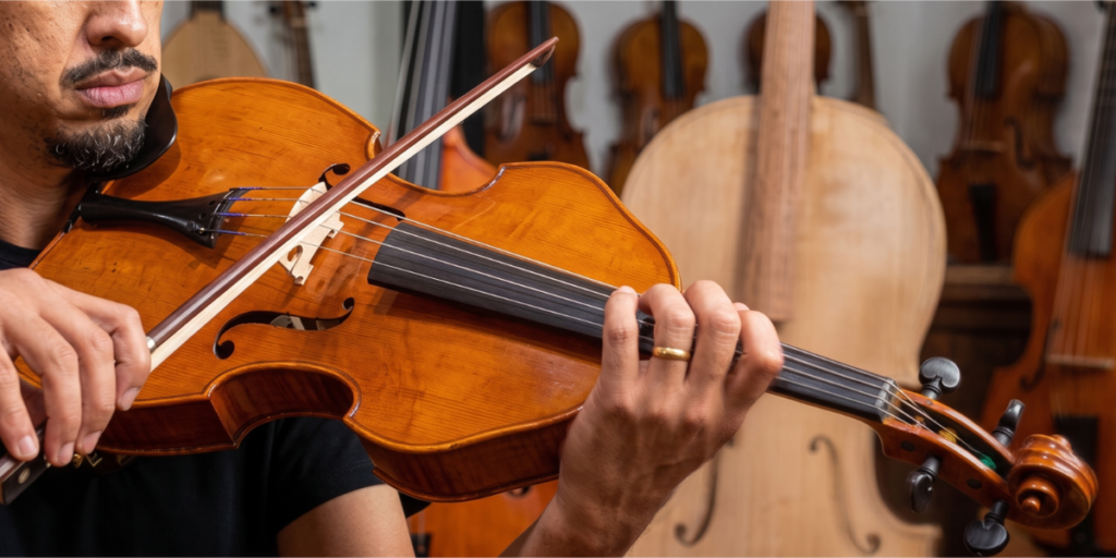 Viola Iizuka Tudo o que você precisa saber sobre este modelo