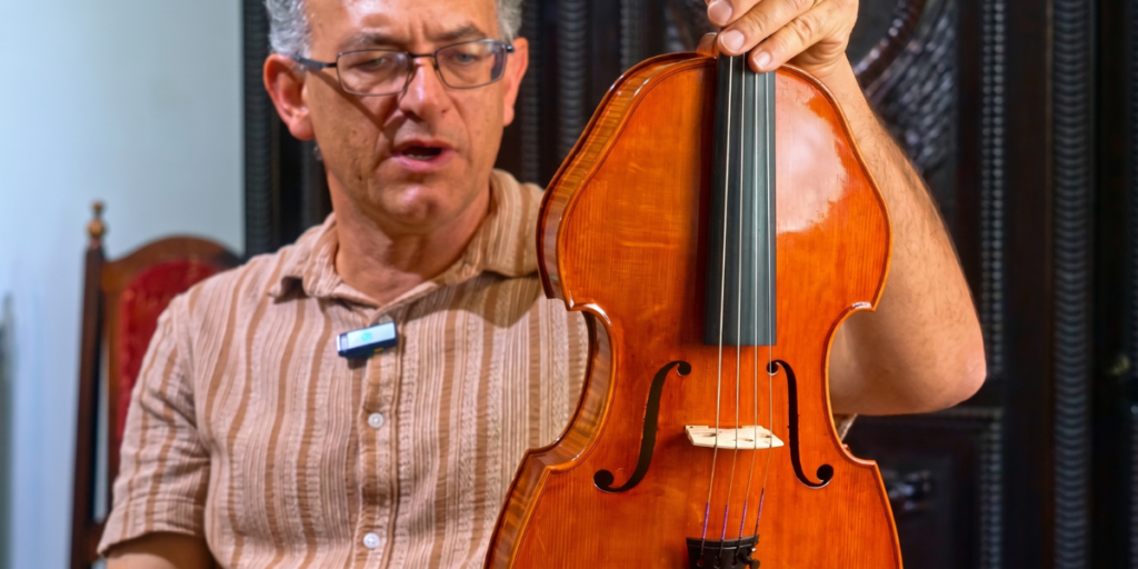 Viola Iizuka Tudo o que você precisa saber sobre este modelo